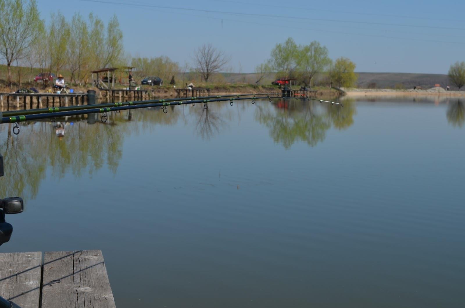 Teslui 2014 - part 2 - image11111111111.jpg